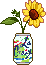 La Croix Sunflower